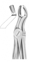  Fig. 67 ½ L upper third molars left 